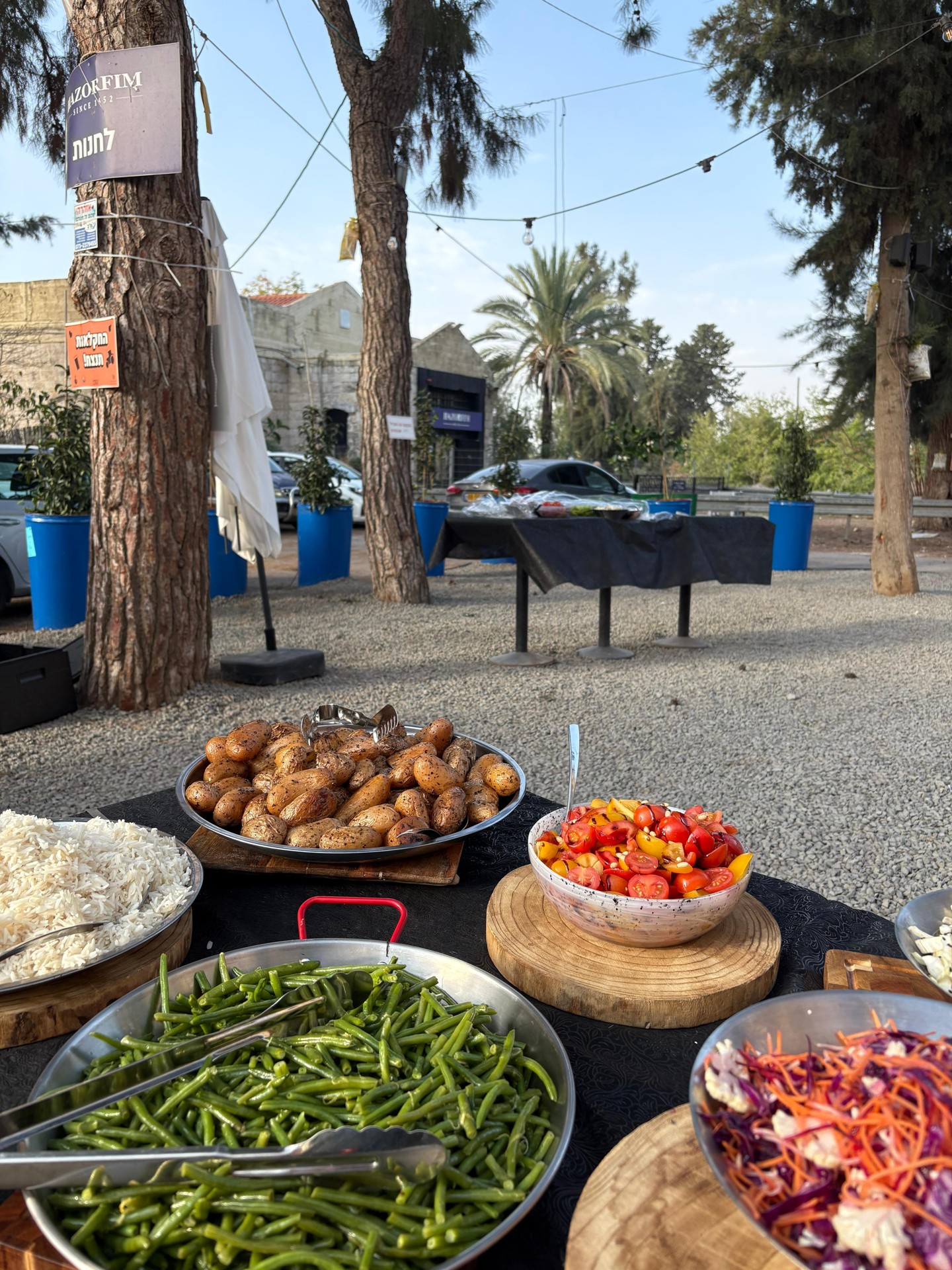 מלך הבסטה — תמונה מהשטח