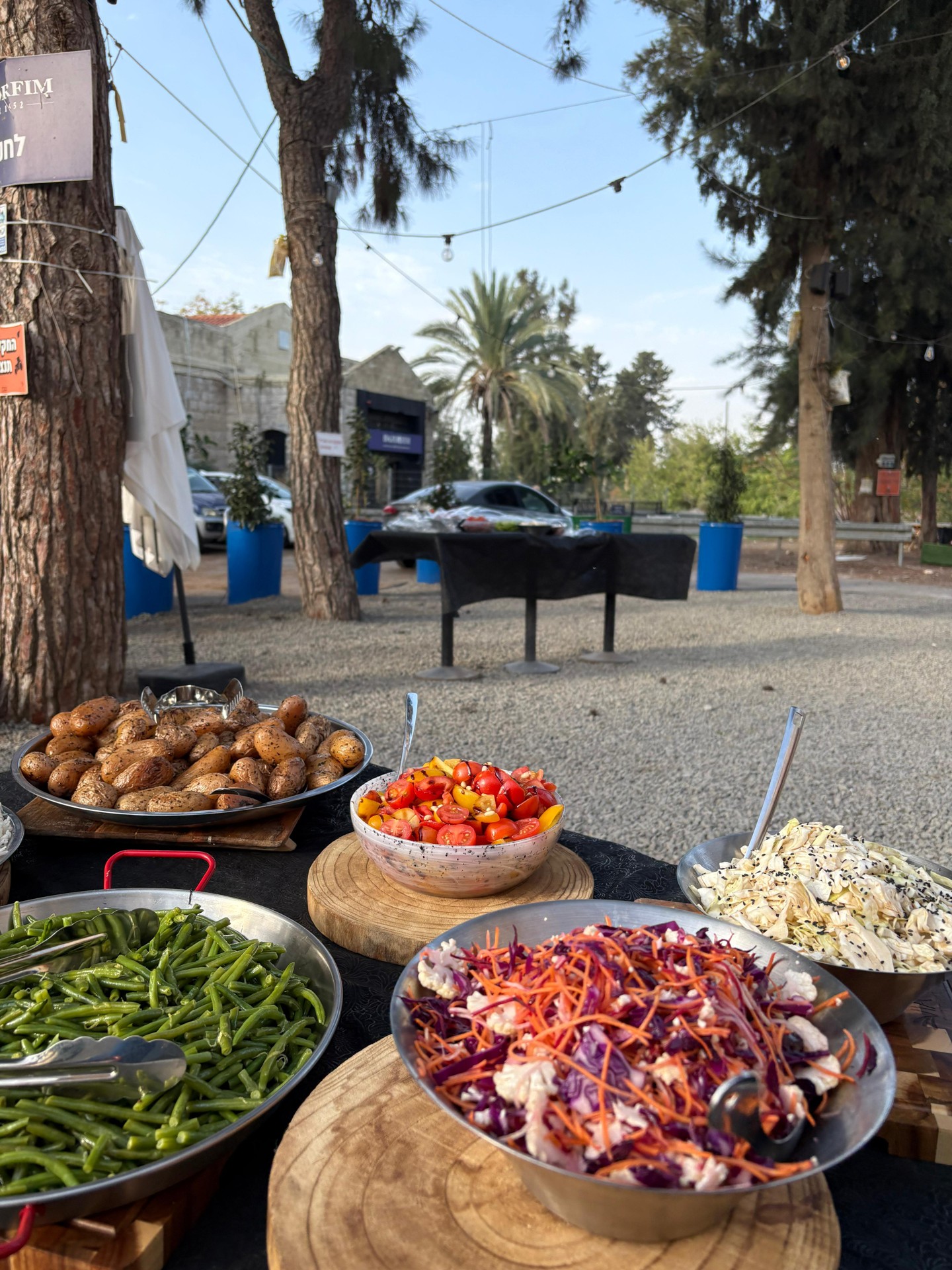 מלך הבסטה — תמונה מהשטח