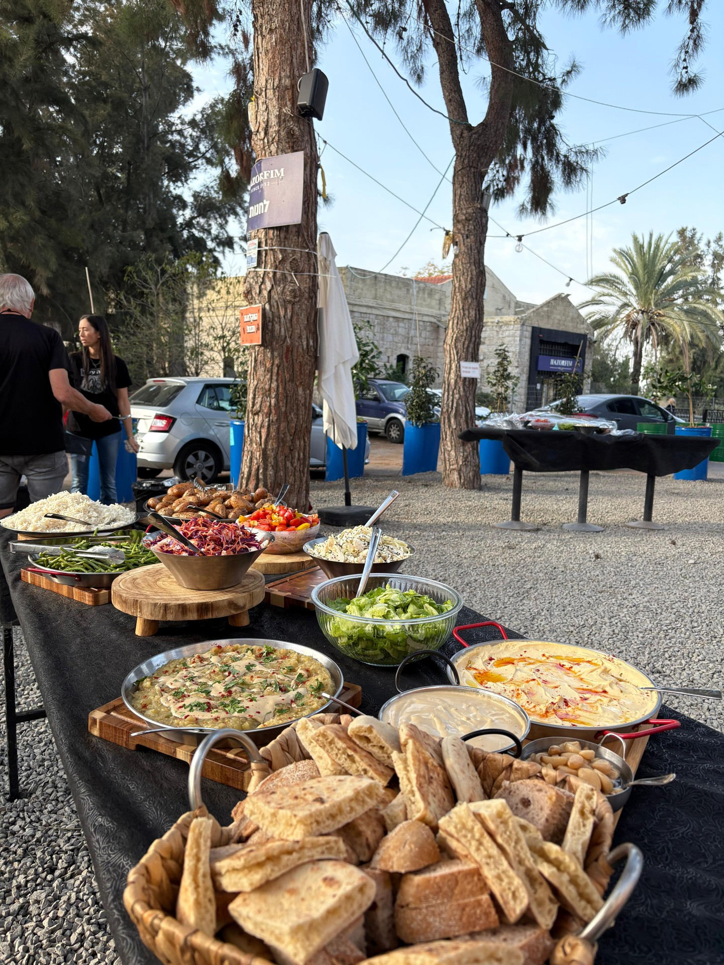 מלך הבסטה — תמונה מהשטח